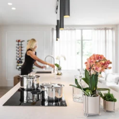 Kolibri Orchids | COMBI DEAL Van 2 Oranje Phalaenopsis Orchideeën - Bolzano - Potmaat Ø9cm Bloeiende Kamerplant - Vers Van De Kweker -Exporteren Buiten Groen Winkel 1200x1200 71