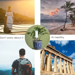 BOTC Waterdruppelaar Set Van 6 Stuks Voor Planten - Watergeefsysteem -Exporteren Buiten Groen Winkel 1200x1200 738