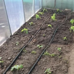 Druppelslang Actiepakket 100 Meter - Leidingshop -Exporteren Buiten Groen Winkel 1200x1200 740