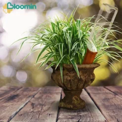 Bloomin Waterdruppelaar Van Terracotta - Waterdruppelaar Voor Planten - Druppelsysteem - Irrigatiesysteem - Watergeefsysteem - Bewateringssysteem - 8 Stuks -Exporteren Buiten Groen Winkel 1200x1200 749