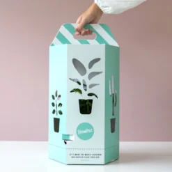 Theeplant | Inclusief Biobased Pot | Kamerplanten | Bloompost -Exporteren Buiten Groen Winkel 1200x1200 94