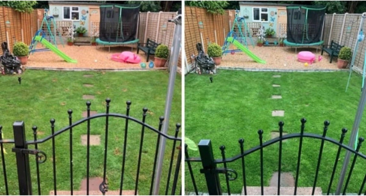 Speel En Sport Graszaad Voor 50m² Gras | Bestendig Tegen Intensief Gebruik | Gazon Voor Sporten & Spelen 7 Speel En Sport Graszaad Voor 50m² Gras | Bestendig Tegen Intensief Gebruik | Gazon Voor Sporten & Spelen - Afbeelding 7