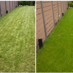 Speel En Sport Graszaad Voor 50m² Gras | Bestendig Tegen Intensief Gebruik | Gazon Voor Sporten & Spelen 13 Speel En Sport Graszaad Voor 50m² Gras | Bestendig Tegen Intensief Gebruik | Gazon Voor Sporten & Spelen -Exporteren Buiten Groen Winkel 1200x773 1