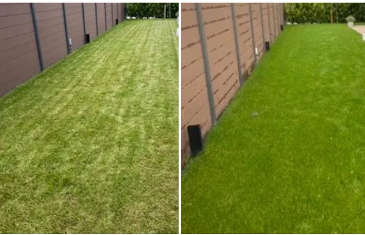 Speel En Sport Graszaad Voor 50m² Gras | Bestendig Tegen Intensief Gebruik | Gazon Voor Sporten & Spelen 6 Speel En Sport Graszaad Voor 50m² Gras | Bestendig Tegen Intensief Gebruik | Gazon Voor Sporten & Spelen - Afbeelding 6