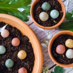 Blossombs Giftbox Small - 7 Blossombs - Bloembommetjes - Zaadbommetjes - Vlinders - Bijen - Biologisch - Ecologisch - Verjaardag - Communie - Doopsuiker - Valentijn -Exporteren Buiten Groen Winkel 1200x800 15