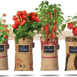 4x Hangtuintjes Moestuin Kweekset Groenten Nu Met Gratis FSC Houten Hangrekje!! 13 4x Hangtuintjes Moestuin Kweekset Groenten Nu Met Gratis FSC Houten Hangrekje!! -Exporteren Buiten Groen Winkel 1200x867