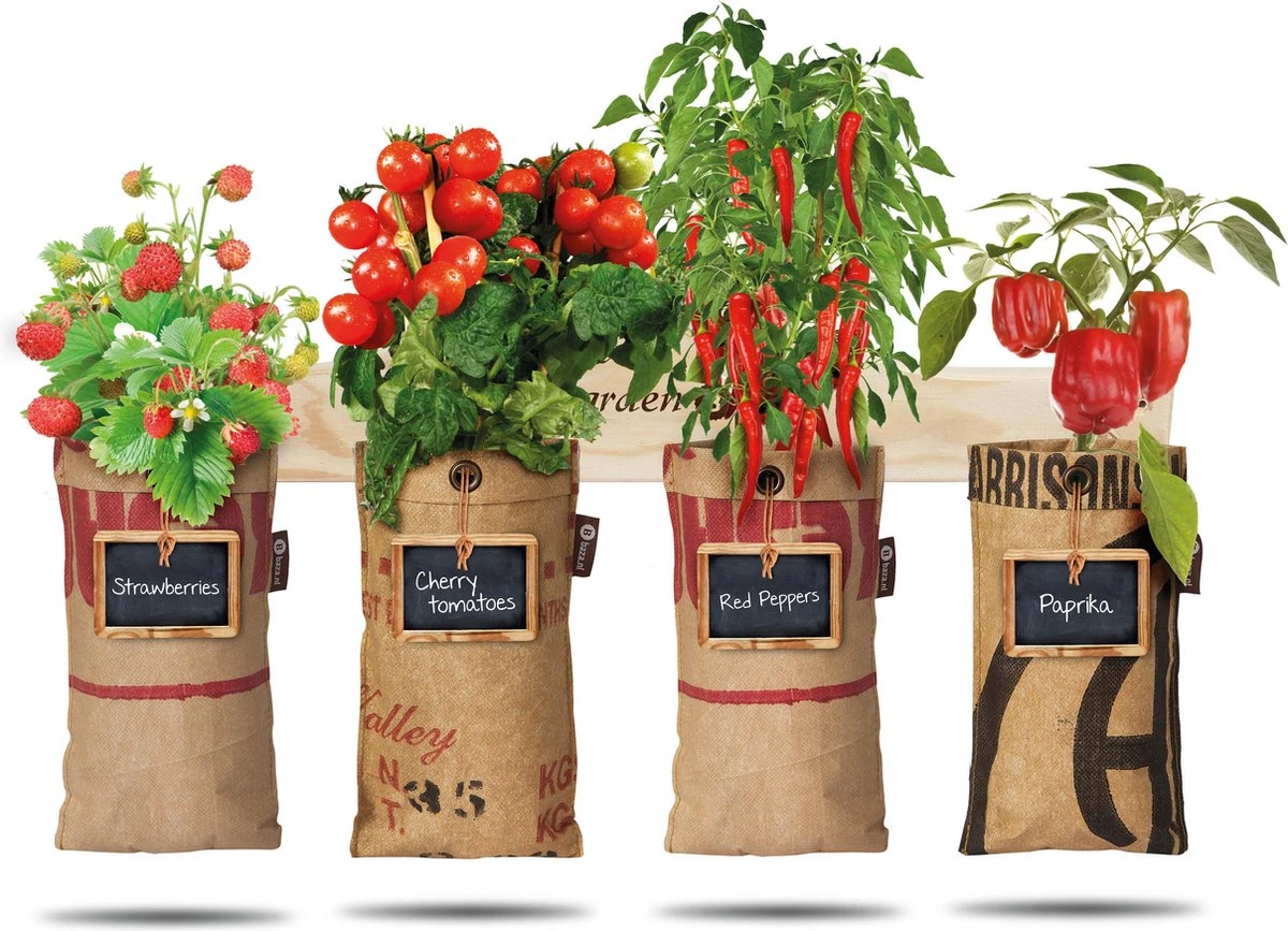 4x Hangtuintjes Moestuin Kweekset Groenten Nu Met Gratis FSC Houten Hangrekje!! 3 4x Hangtuintjes Moestuin Kweekset Groenten Nu Met Gratis FSC Houten Hangrekje!! - Afbeelding 3