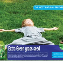 Graszaadmat - Graszaden - Gras Reparatie - Gras Aanleg - Gras Herstel - Graszaad Op Rol - Grasrol - Zeer Gemakkelijk In Gebruik - Biologisch Gras - 0,90X11,1=9,99m2 -Exporteren Buiten Groen Winkel 1200x937 1