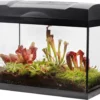 Swampworld Terrarium XL Met Lamp - Vleesetende Planten Terrarium - 5 Verschillende Vleesetende Plant Soorten - L39xB21xH31 Cm