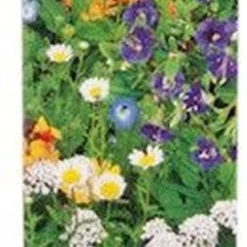 Buzzy Friendly Flowers Bloemenmengsel Vlinders 15m² -Exporteren Buiten Groen Winkel 308x1200