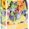 Buzzy® Friendly Flowers - Zadenmengsel - Eetbare Bloemen 15m²