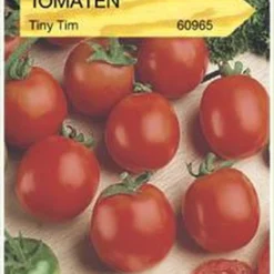Oranjebandzaden - Tomaten Tiny Tim Kers- Balkontomaten