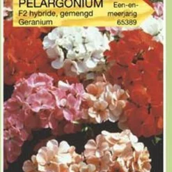 Oranjebandzaden - Pelargonium, Geranium F2 Gemengd