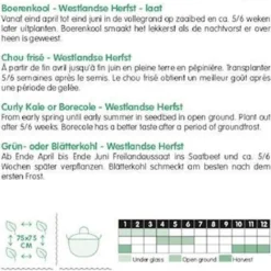 Hortitops Zaden - Boerenkool Westlandse Herfst, Laat Type -Exporteren Buiten Groen Winkel 732x1200