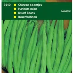Hortitops Zaden - Chinese Boontjes Miracle