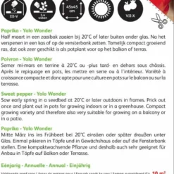 Buzzy Zaden Paprika Yolo Wonder 7 Buzzy Zaden Paprika Yolo Wonder -Exporteren Buiten Groen Winkel 752x1200 1