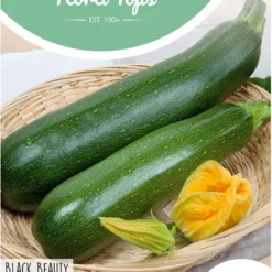 Hortitops Zaden - Courgette Black Beauty - Verte De Milan