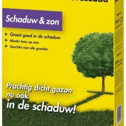 Exporteren Buiten Groen Winkel -Exporteren Buiten Groen Winkel 758x1200