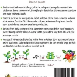 Buzzy® Organic Zomerwortelen Nantes 2 (BIO) -Exporteren Buiten Groen Winkel 761x1200 1