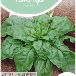 Hortitops Zaden - Spinazie Winterreuzen 15 Gram