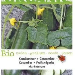 Buzzy® Organic Komkommer Marketmore (BIO) -Exporteren Buiten Groen Winkel 766x1200