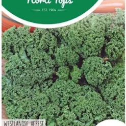Hortitops Zaden - Boerenkool Westlandse Herfst, Laat Type