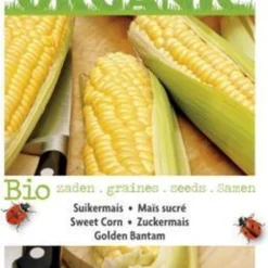 Buzzy® Organic Mais Golden Bantam (BIO) -Exporteren Buiten Groen Winkel 774x1200