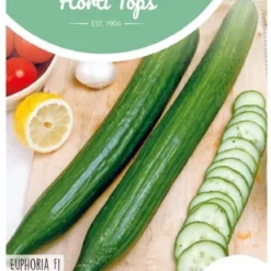 Hortitops Zaden - Komkommer Euphoria F1