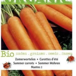 Buzzy® Organic Zomerwortelen Nantes 2 (BIO) -Exporteren Buiten Groen Winkel 777x1200