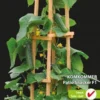 Sluis Garden Komkommer Patio Snacker F1