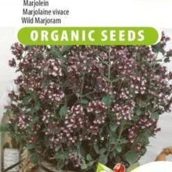 Sluis Garden - Oregano Biologisch (Origanum Vulgare)