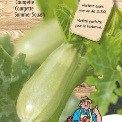 Sluis Garden - Courgette Grey Griller F1