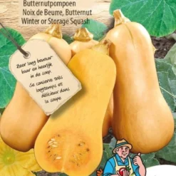 Sluis Garden - Flespompoen Hercules F1