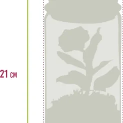 Ecosysteem Plant Met Lamp -Ecoworld Weck Glas Met Lamp + 1 Mini Bonsai Ficus Ginseng - Ø10,5 Cm - Hoogte 21 Cm -Exporteren Buiten Groen Winkel 780x1200