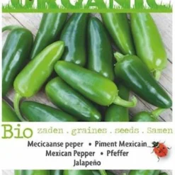 Buzzy Organic - Peper Jalapeno (Capsicum Annuum)