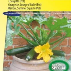 Sluis Garden - Courgette Patio Star F1