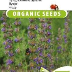 Sluis Garden - Hysop Biologisch (Hyssopus Officinalis)