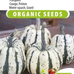 Sluis Garden - Pompoen Sweet Dumpling Biologisch