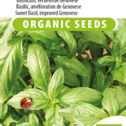 Sluis Garden - Basilicum Sweet Aroma 2 F Biologisch (Ocimum Basilicum)