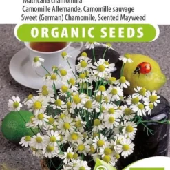 Sluis Garden - Echte Kamille Biologisch (Matricaria Recutita)