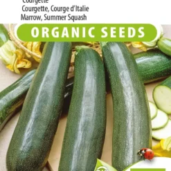 Sluis Garden - Courgette Black Beauty Biologisch