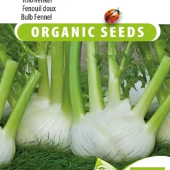 Sluis Garden - Knolvenkel Finale Biologisch