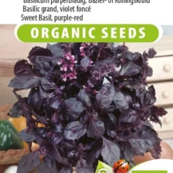 Sluis Garden - Basilicum Dark Opal Biologisch (Ocimum Basilicum)