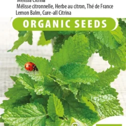 Sluis Garden - Citroenmelisse Citrina Biologisch (Melissa Officinalis)