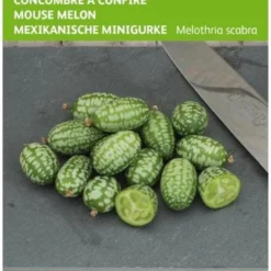 Buzzy Zaden - Cucamelons Muismeloen 15 Zaden
