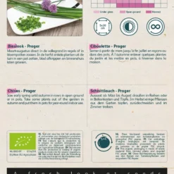 Buzzy® Organic Bieslook Prager (BIO) -Exporteren Buiten Groen Winkel 799x1200 7