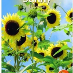 Buzzy® Sunny Flowers, Zonnebloem Moonwalker