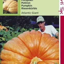 Hortitops Zaden - Pompoenen Atlantic Giant