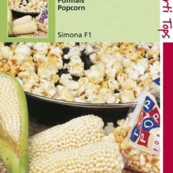 Hortitops Zaden - Pofmais/Popcorn Plomyk Type Peppi
