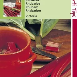 Hortitops Zaden - Rabarber Victoria